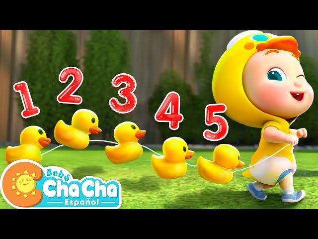 Cinco Patitos | Aprender Números del 1 al 5 | Bebé ChaCha Canciones Infantiles & Videos para Niños