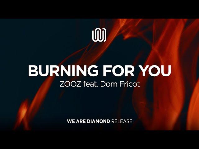 ZOOZ - Burning for You (feat. Dom Fricot)