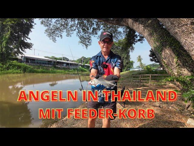 ARE THE BIG FISH BITEDING TODAY?  RIVER FISHING IN THAILAND