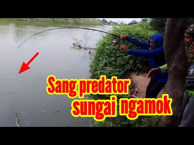 BIKIN KETAGIHAN MANCING DI SINI ‼️ MANCING IKAN KAKAP PUTIH BIKIN KETAGIHAN #mancingikan #fishing