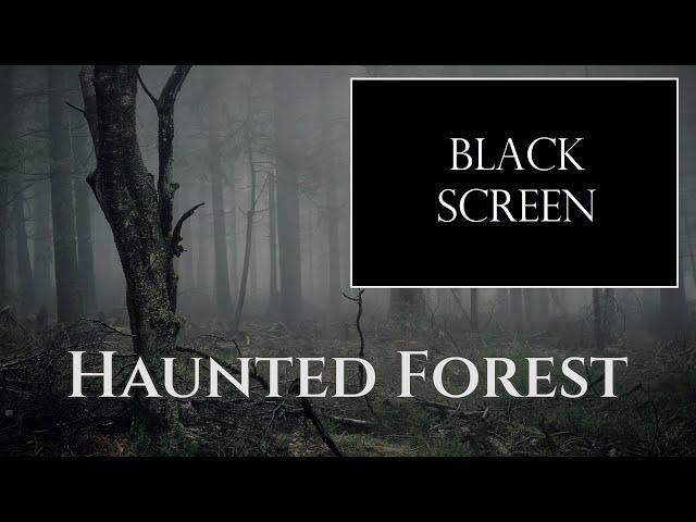 Haunted Forest - Ambience (no music) - sounds of a misty creepy forest - 9h black screen version