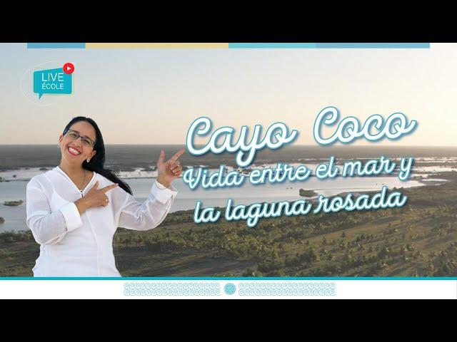 Conoce Cayo Coco Tropical Living, Desarrollo de Terrenos Residenciales en San Bruno Yucatán