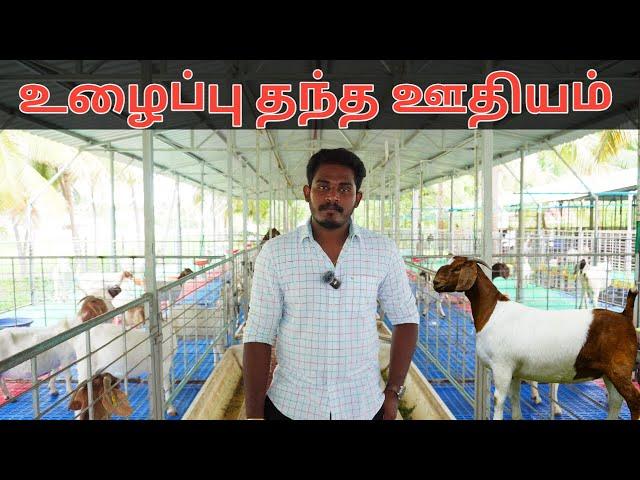 Revisit to Aravinth Goat Farm | நான்கு வருடத்தில் அபரீத வளர்ச்சி!! | Country Farmss | ஆட்டு பண்ணை