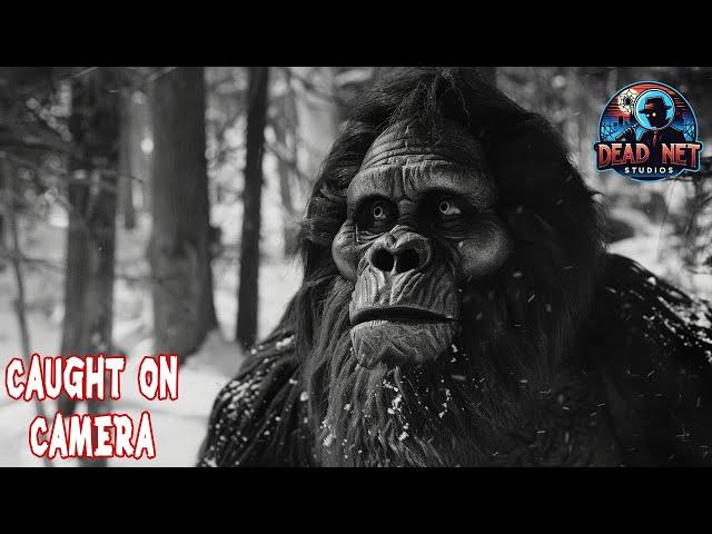 10 Real Bigfoot Sightings: New Encounters to Unravel