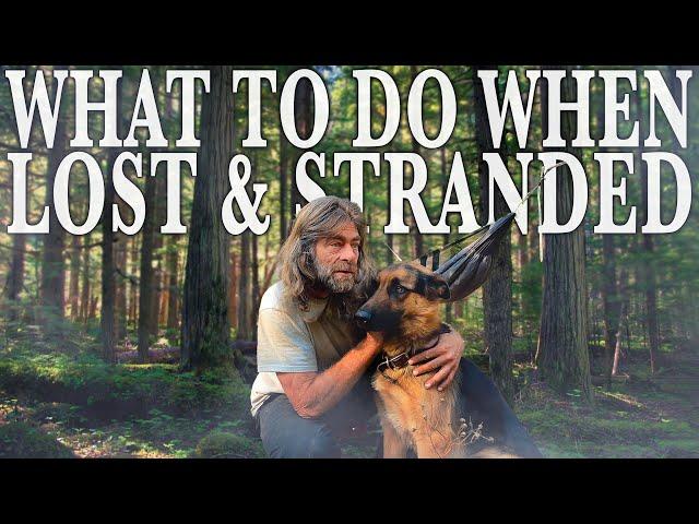 Lost & Stranded in Canadian Backwoods | Catch & Cook Trout | Mushroom Foraging