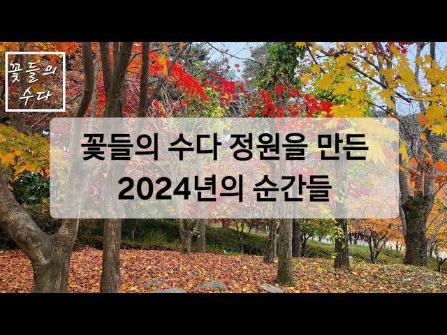 꽃들의 수다 정원을 만든 2024년의 순간들