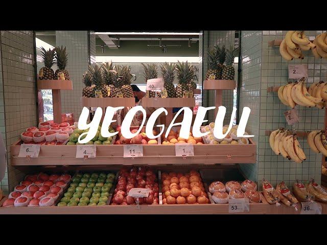 JAKARTA VLOG  |'GROWELL Whole Food ​​|TACO BELL|Recipe Manduguk YoonStay ​| Korean homemade meal