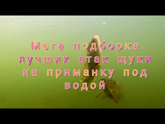 Мега подборка лучших атак щуки на приманку под водой.Mega compilation of the best pike attacks