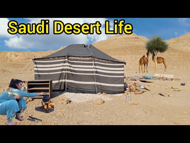 Most Impressive Desert Life In Saudi Arabia | Stunning Life