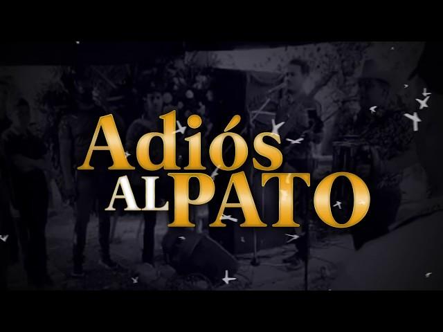 Panchito Arredondo - Adios Al Pato ( Video Oficial ) ( 2020 ) "Exclusivo"