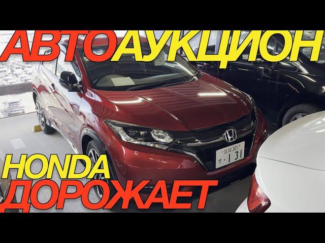 ЗА КОПЕЙКИ ЯПОНЦЫ СВОИ АВТО УЖЕ НЕ ОТДАДУТ HONDA STEPWGN FREED VEZEL STREAM TOYOTA C-HR