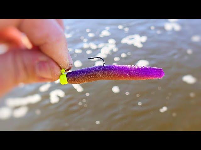 Canal Fishing for Perch with the NED Rig! (Z-man TRD)