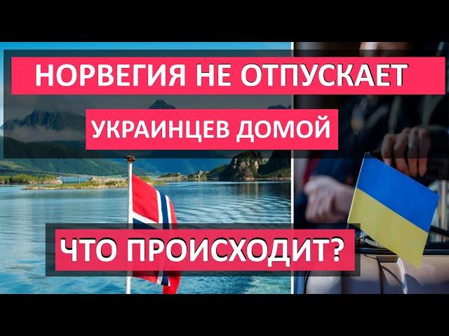 Почему Норвегия НЕ ОТПУСКАЕТ украинцев ДОМОЙ. Сколько платят укранцам и как получить работу в стране