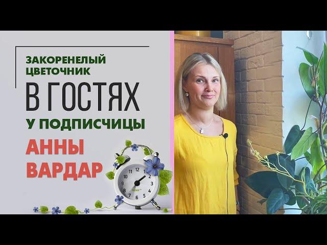 Растения дома все как на подбор. Я в гостях у Анны Вардар. Красивая, умная, хозяйственная девушка.