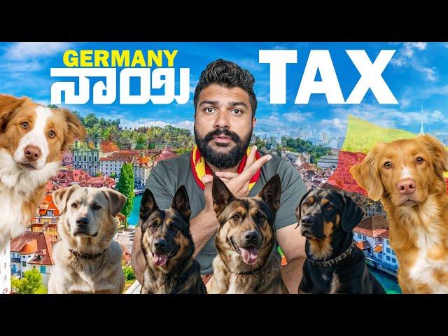 A Beautiful German Village | Schwarszwald | Global Kannadiga