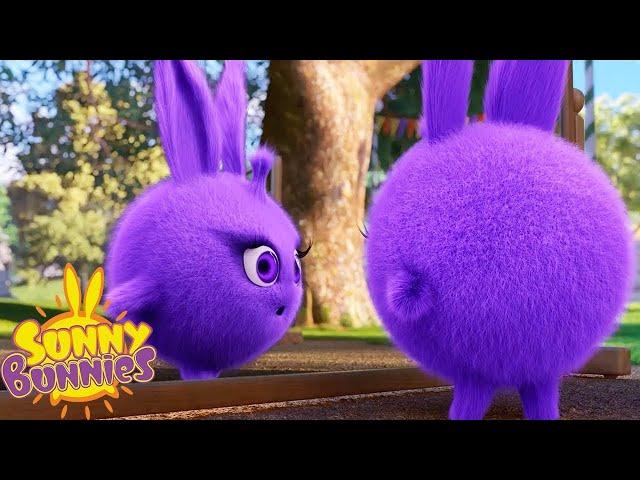 What's in the Mirror? | Sunny Bunnies | Cartoons for Kids | WildBrain Blast