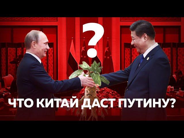 ЧТО КИТАЙ ДАСТ ПУТИНУ? Блокировка расчетов и уход китайских компаний — зачем Путин ездил в Китай?