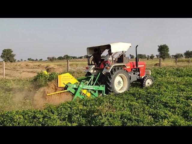 Tractor Peanut Harvesting Machine || Peanut grated? How this Naula Farm Modern Agriculture 2019 work