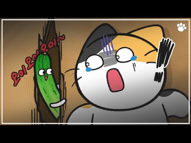 Why Are Cats Afraid of Cucumbers?