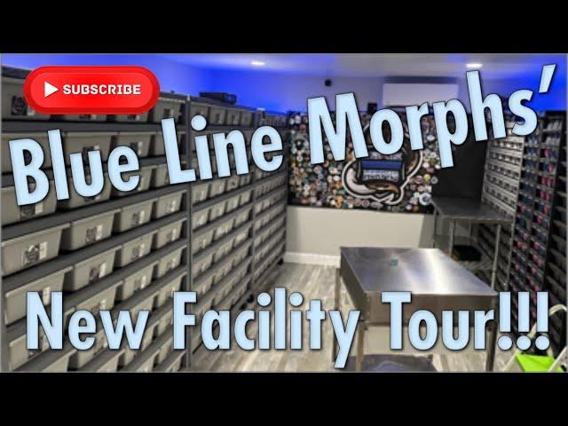 BLUE LINE MORPHS’ NEW FACILITY TOUR!!