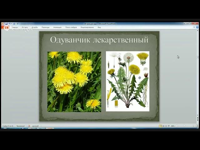 Анатолий Орлов про съедобные травы на семинаре 2014
