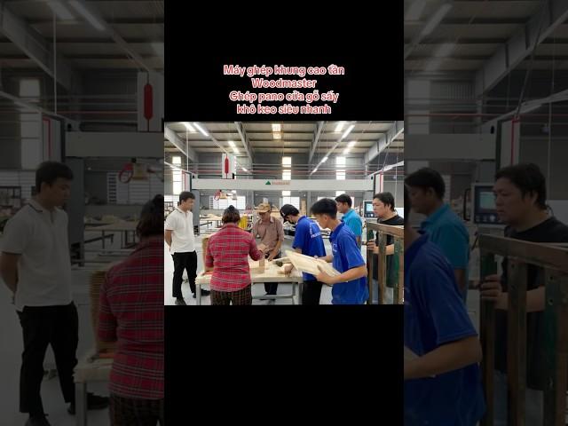 Máy ghép khung cao tần Woodmaster Ghép pano cửa gỗ sấy khô keo siêu nhanh