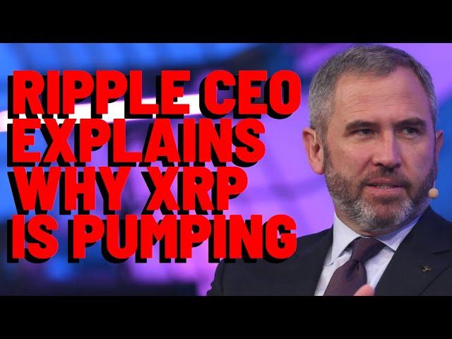 XRP: Ripple CEO Explains WHY XRP IS PUMPING