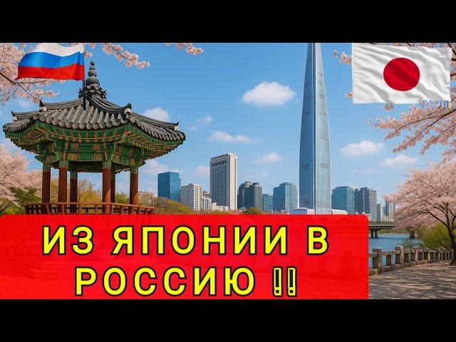 ПРЧЕМУ ЯПОНЦЫ ПЕРЕЕЗЖАЮТ В РОССИЮ  СТРАННОСТИ ЯПОНИИ 