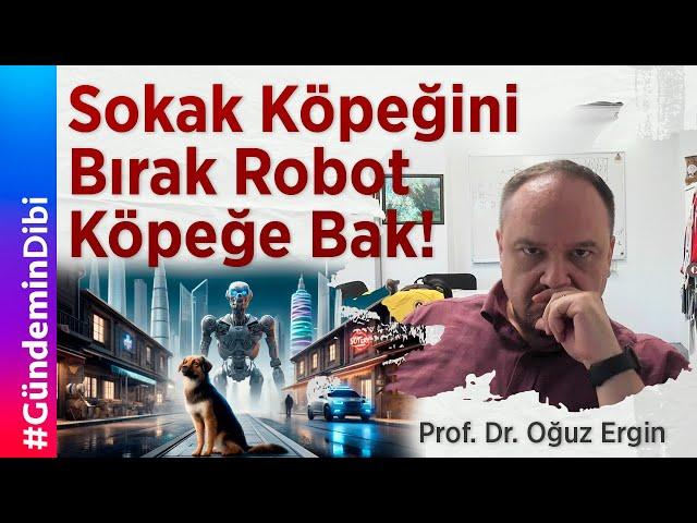 Sokak Köpeğini Bırak Robot Köpeğe Bak!