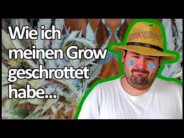 Woche 12 meines Bubatz-Versuchs mit Biobizz Lightmix | Bubatz mit Flol