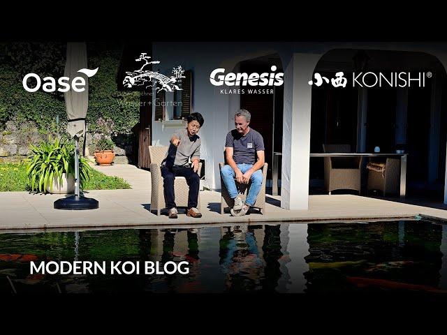 Modern Koi Blog #6201 - Mit Makoto bei Willi in der Schweiz