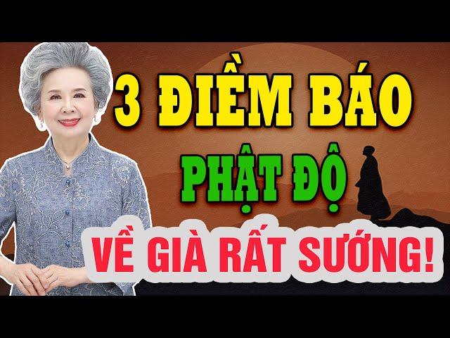 Về Già An Lạc 3 Dấu Hiệu Chứng Tỏ Bạn Đang Được Phật Độ! | Ngọc miu kể chuyện