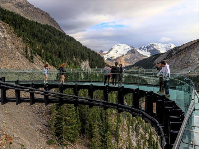Ледник Атабаска (Кордильеры, Скалистые горы 8) / Columbia Icefield (Rocky Mountains 8)