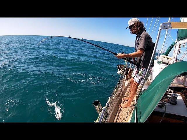 SAILING DIVING FISHING and EXPLORING - Ocean Wolf Sailing  Ep.6 (Shark Bay 3/4)