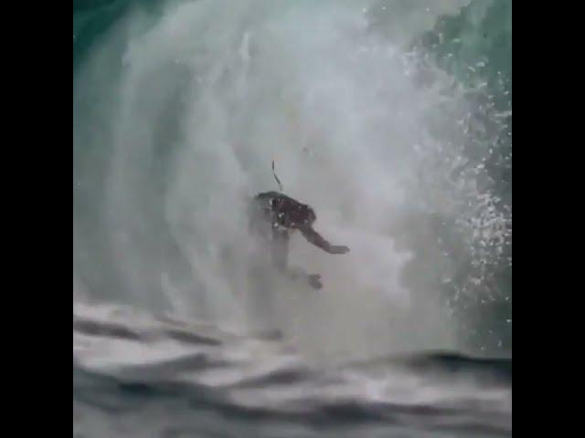 Kook of the day Back Flip Surfer #funny #surf #fails #kookoftheday #hawaii #surfing #california