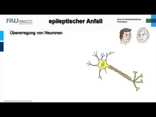 Neuropathologie ─ Epilepsie