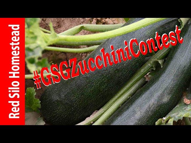 Garden State Gardener Zucchini Contest Entry Video |#GSGzucchiniContest