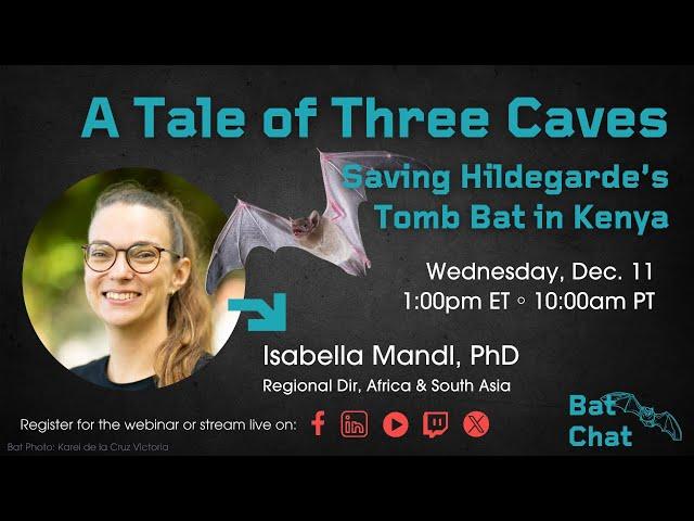 A Tale of Three Caves: Saving Hildegarde’s Tomb Bat in Kenya