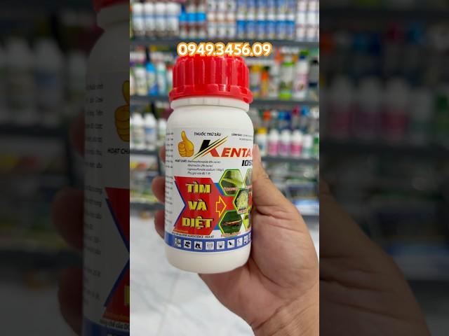 Thuốc đặc trị sâu đục thân và sâu cuốn lá,nhện gié
