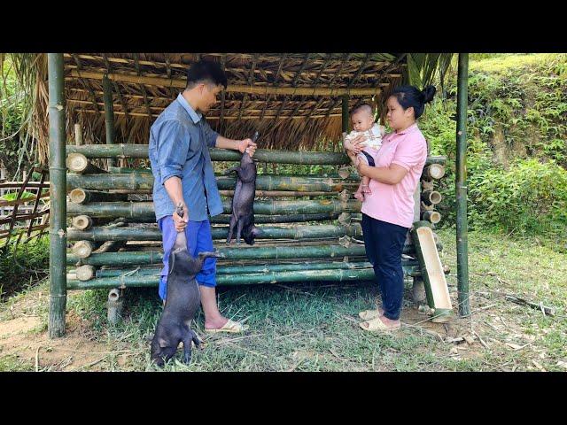 14-Year-Old Single Mother Feels Happiness From Kind Landlord, Protecting Children, Take Care of Pigs