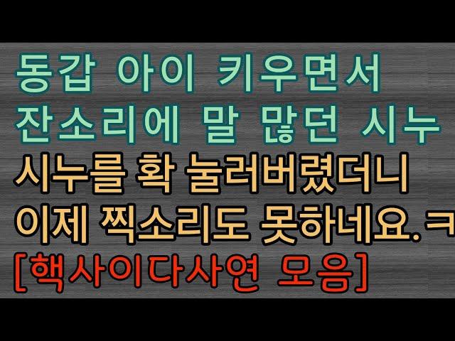 [사이다사연 모음] 찍소리 못하는 시댁 ㅋㅋㅋ 사이다사연 사이다썰 미즈넷사연 응징사연 반전사연 참교육사연 라디오사연 핵사이다사연 레전드사연
