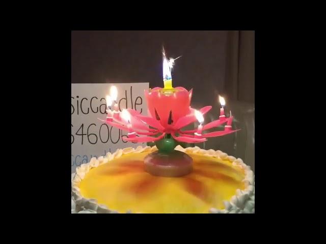 Lotus Candle Wax Single Layer Magic Musical Happy Birthday