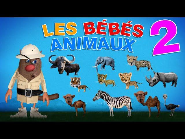 Foufou - Les Bébés Animaux (Learn Baby Animals for Kids) Serie 02 4K