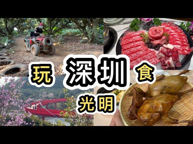 【深圳】光明城越野車光明招待所虹橋藍鯨世界高質火鍋 光明輕鬆行程一圖看清行程路線高鐵買票｜深圳美食｜深圳好去處2024｜深圳一日遊｜北上消費｜光明招待所｜征途越野俱樂部｜渡小鳳豬肚雞