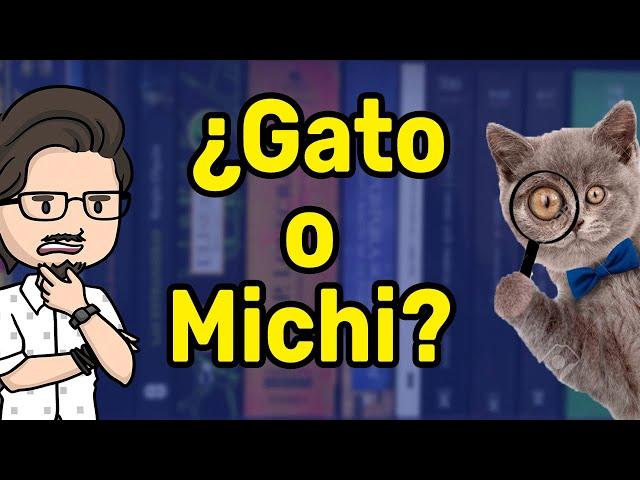 ¿Por qué le decimos "Michi" a los gatos? 