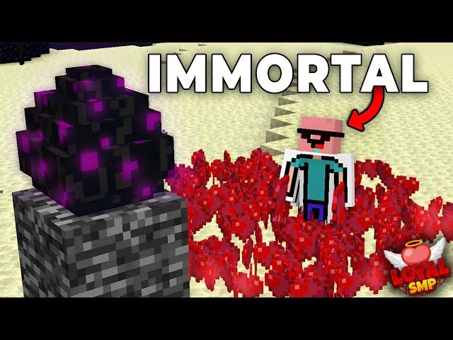 How I gained INFINITE HEARTS To Win the END WAR in Loyal SMP
