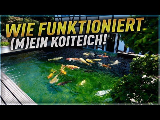 Wie funktioniert (M)ein Koiteich? Koiteich professionell planen auf www.koiteich-planung.net