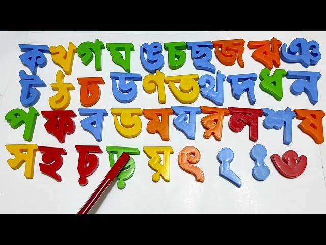 ক খ গ ঘ ঙ চ ছ জ ঝ ঞ ট ঠ ড ঢ ণ ত থ দ ধ ন প ফ ব ভ ম য র ল শ ষ স হ ড় ঢ় য় ৎ ... Banjonborno