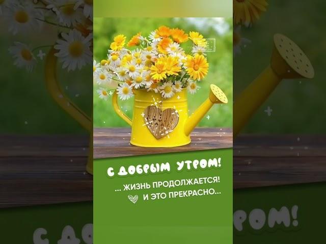 ЛЕГКОГО И ЧУДЕСНОГО ДНЯ!ХОРОШЕГО НАСТРОЕНИЯ!#сдобрымутром #пожеланиехорошегодня