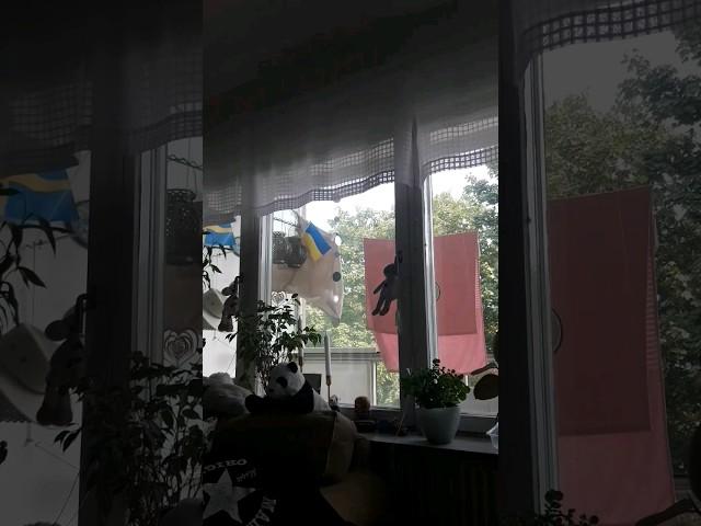 а Я покинул Чат с Нашим МироМ   @klavacoca